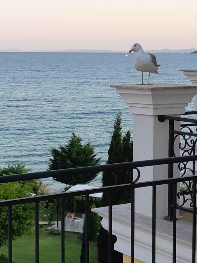 Horizon Katrina Apartments - Sea Line & Beach Access Sveti Vlas Luaran gambar